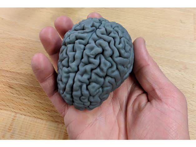 طرح سه بعدی مغز
