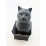 طرح سه بعدی گربه جعبه ای