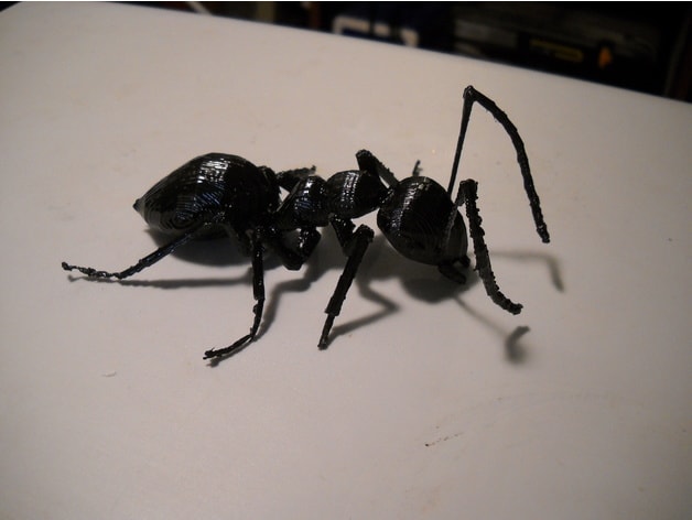 طرح سه بعدی مورچه