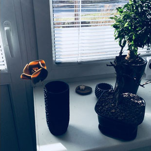 طرح سه بعدی گل