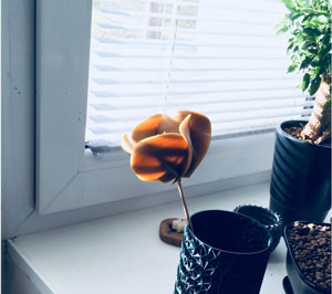 طرح سه بعدی گل