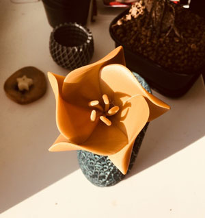 طرح سه بعدی گل