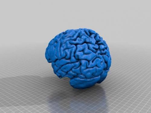طرح سه بعدی مغز