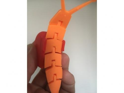 طرح سه بعدی حلزون