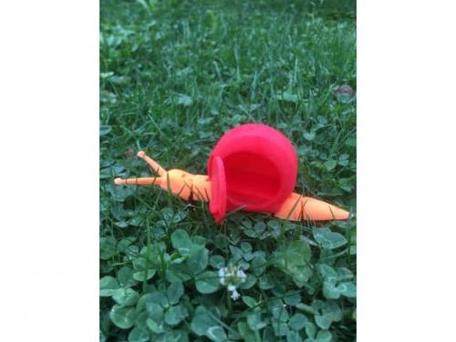 طرح سه بعدی حلزون