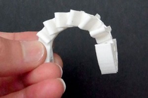 ماهی اسکلتی 4