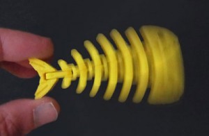 ماهی اسکلتی 5