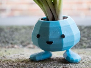 گلدون ادمکی 5