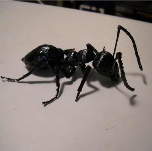 طرح سه بعدی مورچه